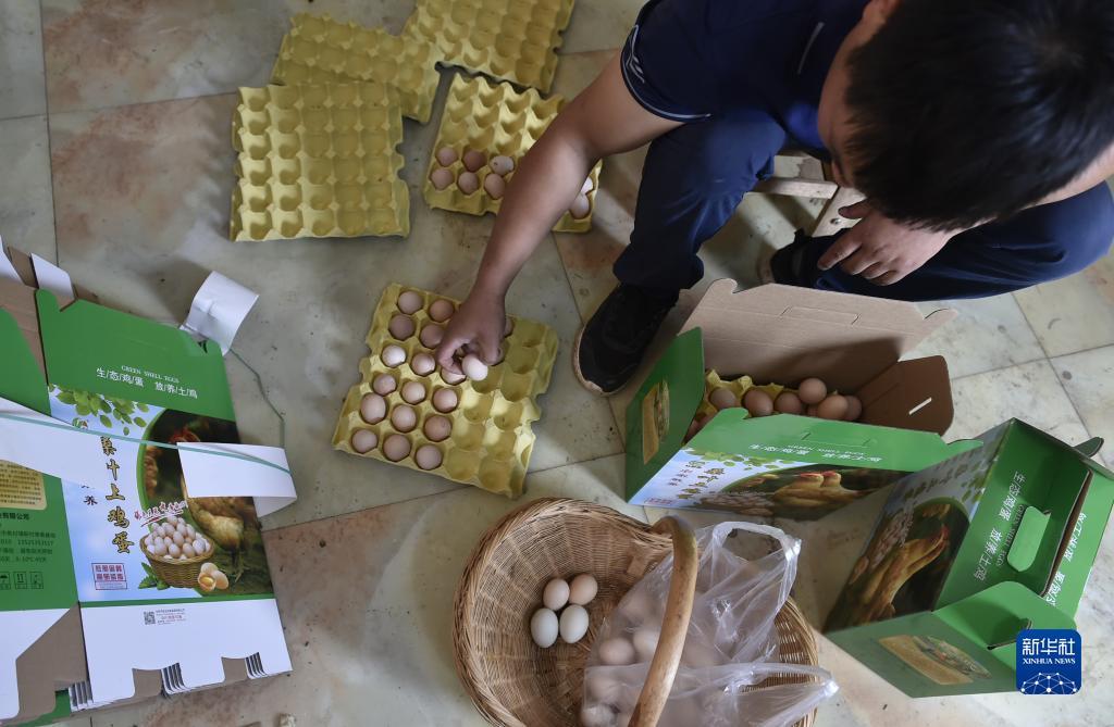 皇冠小游戏